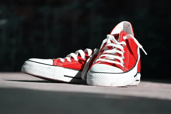 canvas-sneakers-in-2023