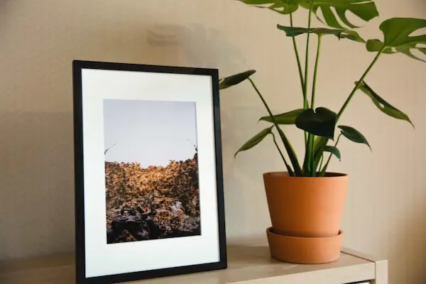 digital-picture-frame-mothersday-gift