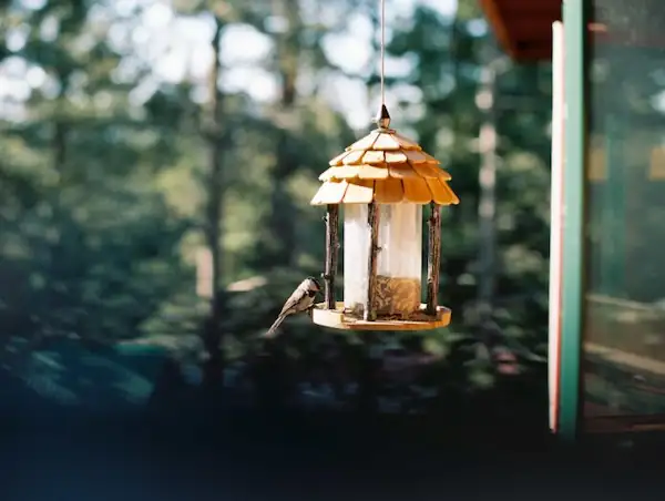 mothersday-gift-ideas-window-bird-feeder