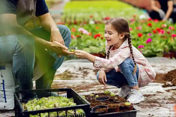 grow-your-herbs-and-vegetables