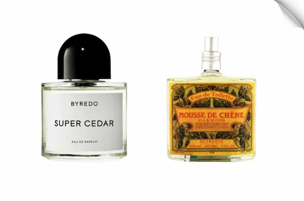 popular-fragrance-notes-to-match-your-style