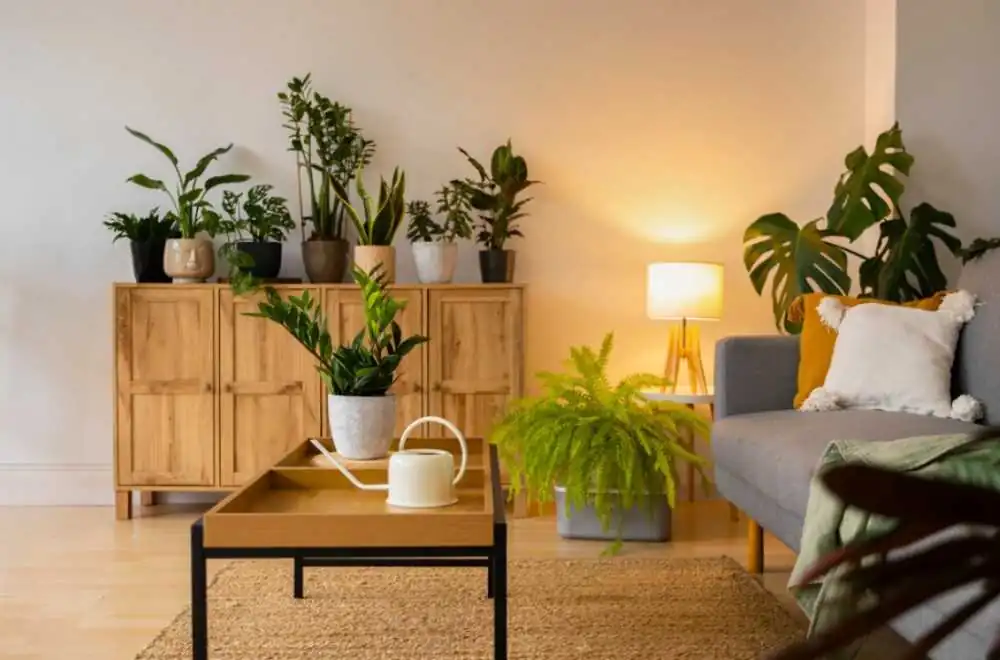 exclusive-discounts-wayfair-west-elm