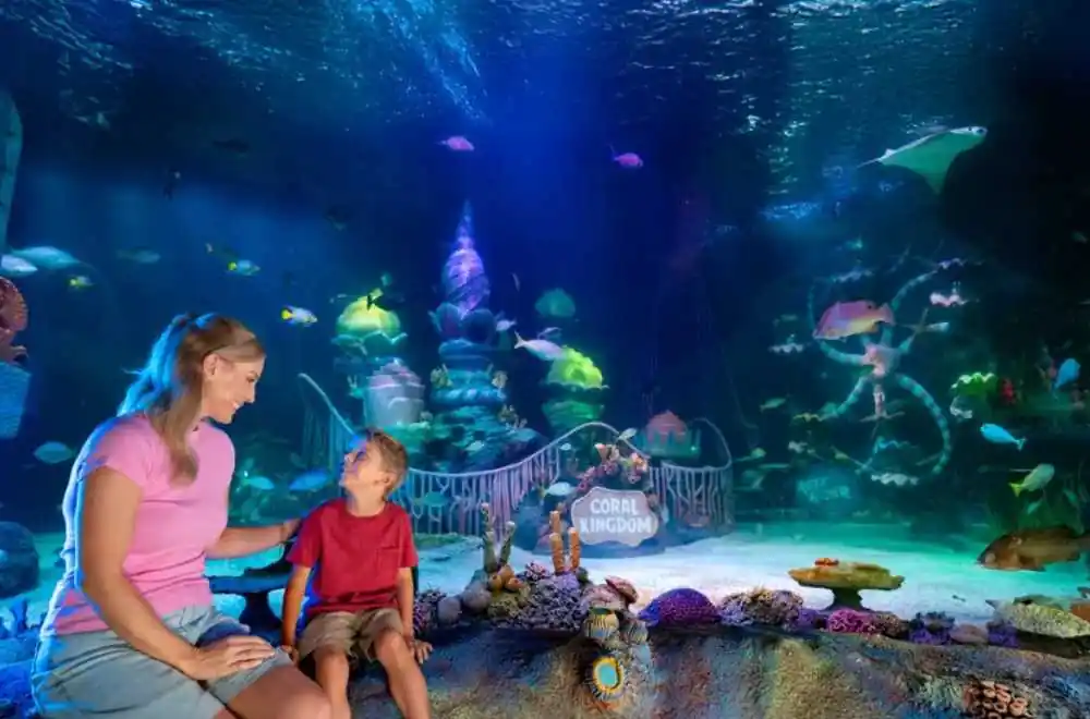 explore-sea-life-florida-aquarium