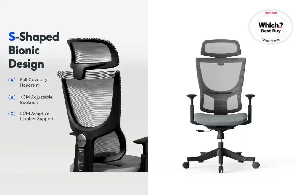 flexi-chair-bs8-ergonomic-office-chair