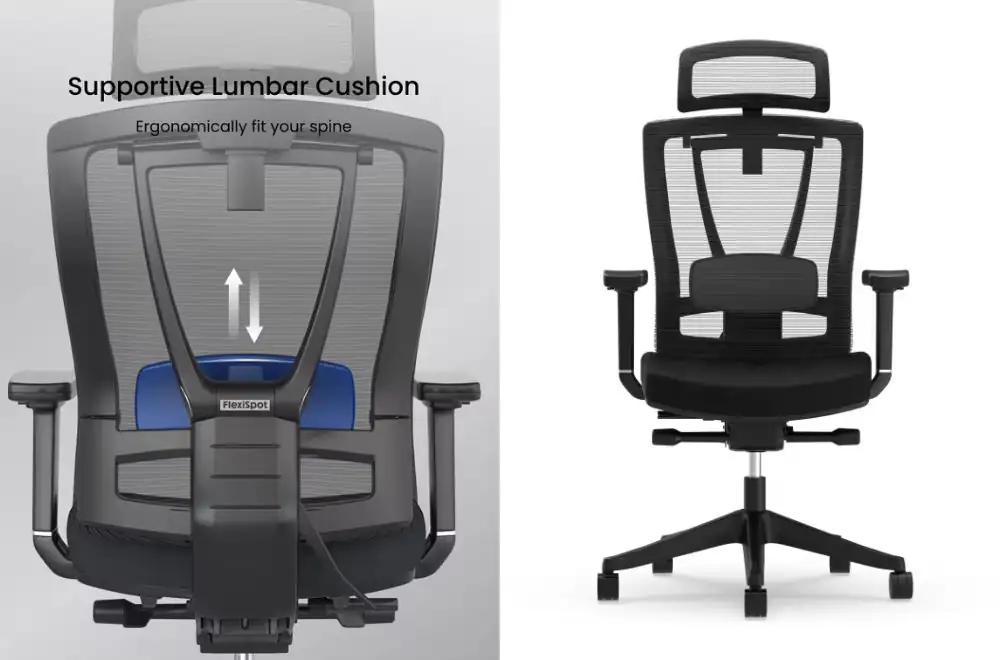 flexispot-c7-multi-adjustable-ergonomic-chair