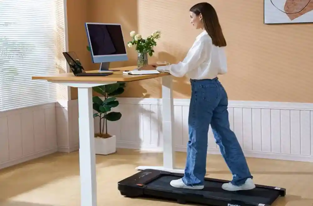 flexispot