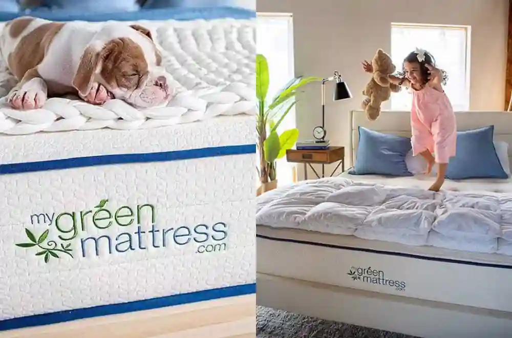 kiwi-organic-mattress