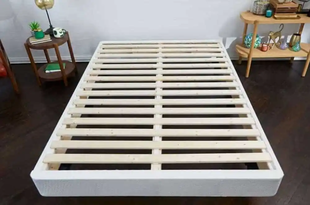 my-green-foundation