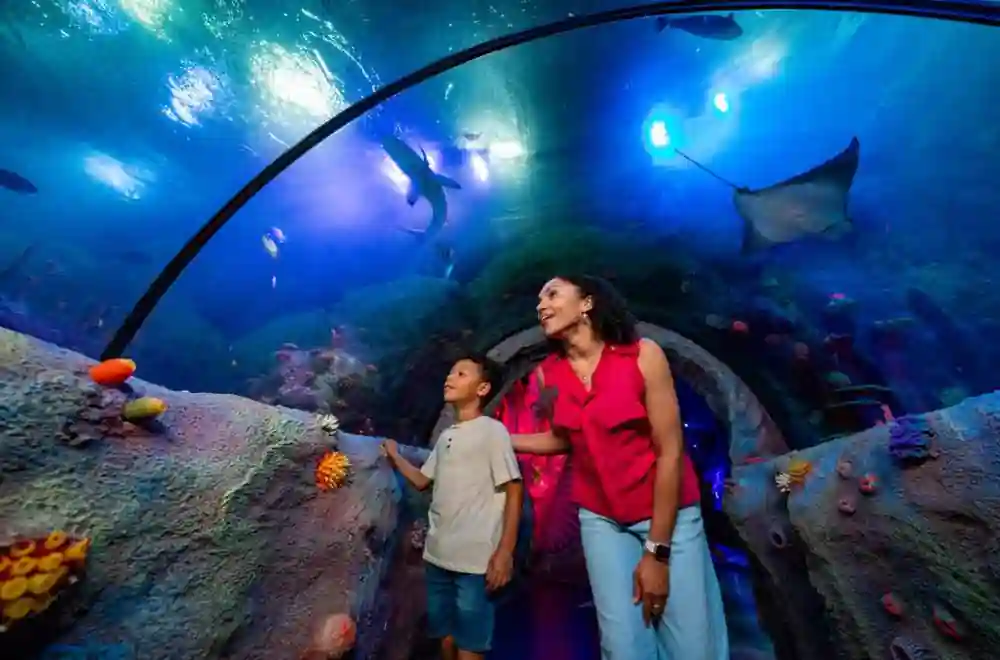 new-&-nearby-attractions
