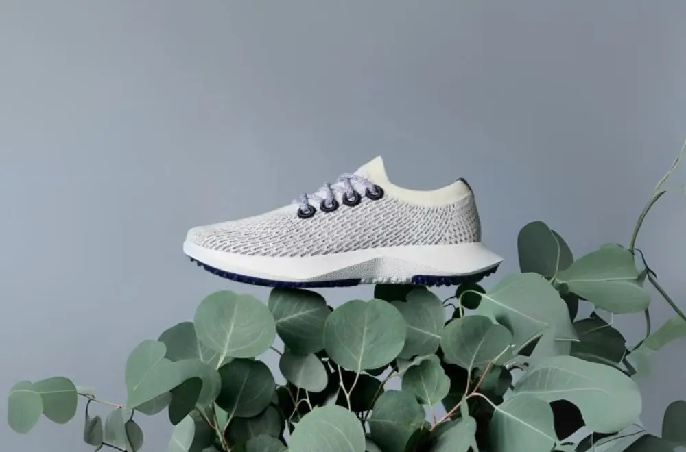 why-choose-allbirds