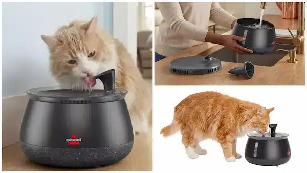 hydrateWell-automatic-water-fountain